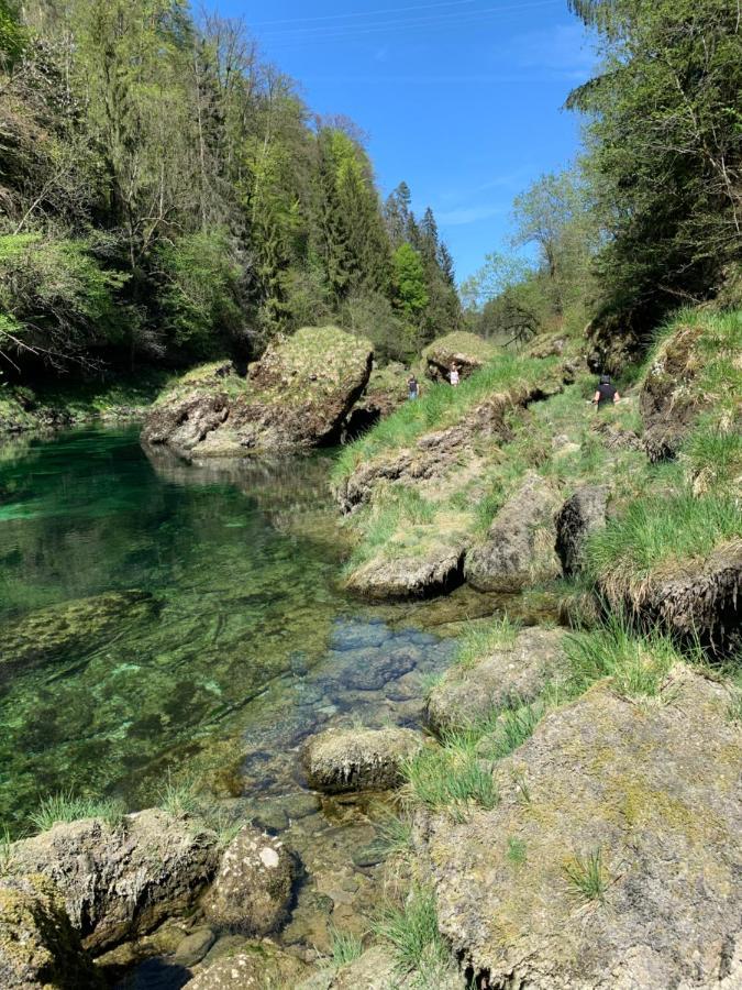 Ferienhaeuschen Am Traunsee Mit Tretboot Zur Freien Nutzung Am Badeplatz Altmuenster Luaran gambar