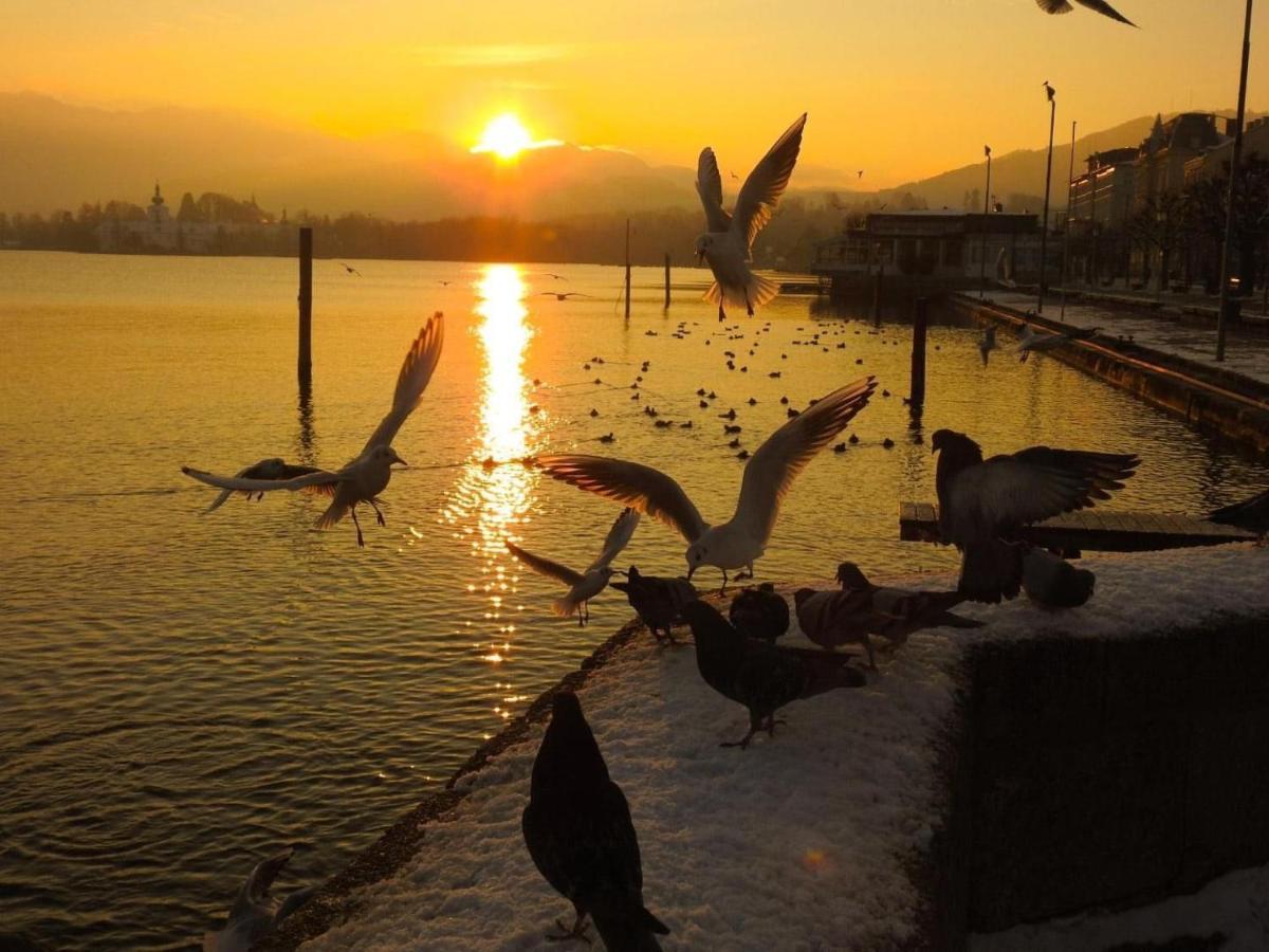 Ferienhaeuschen Am Traunsee Mit Tretboot Zur Freien Nutzung Am Badeplatz Altmuenster Luaran gambar